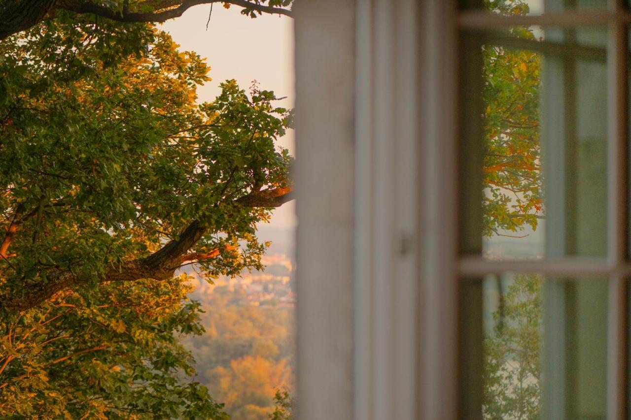 Zinar Castle Hotel Krakkó Kültér fotó